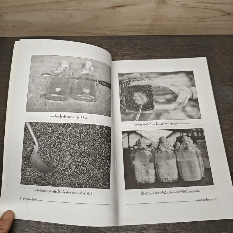 การเพาะเห็ดฟาง - กองบรรณาธิการเฉพาะกิจ ฐานเกษตรกรรม