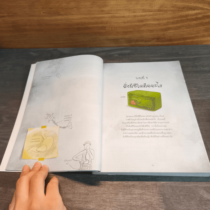 รู้ไหมวิทยาศาสตร์เกี่ยวกับอะไร