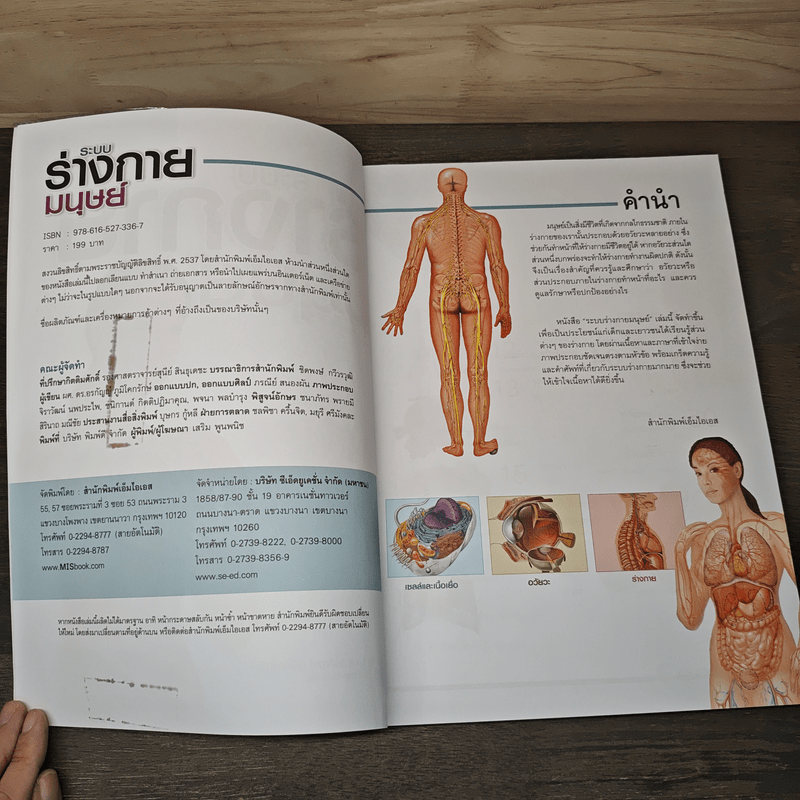 ระบบร่างกายมนุษย์ Human Body - ดร.อรัญญ์ ภูริทรรศนีย์