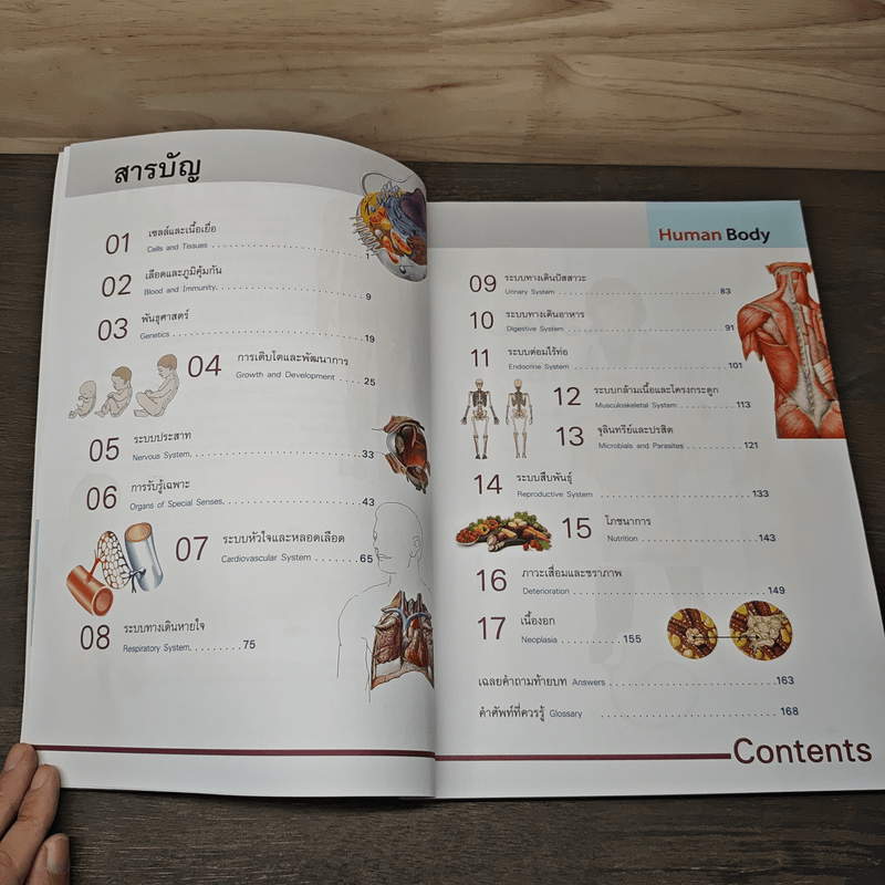 ระบบร่างกายมนุษย์ Human Body - ดร.อรัญญ์ ภูริทรรศนีย์