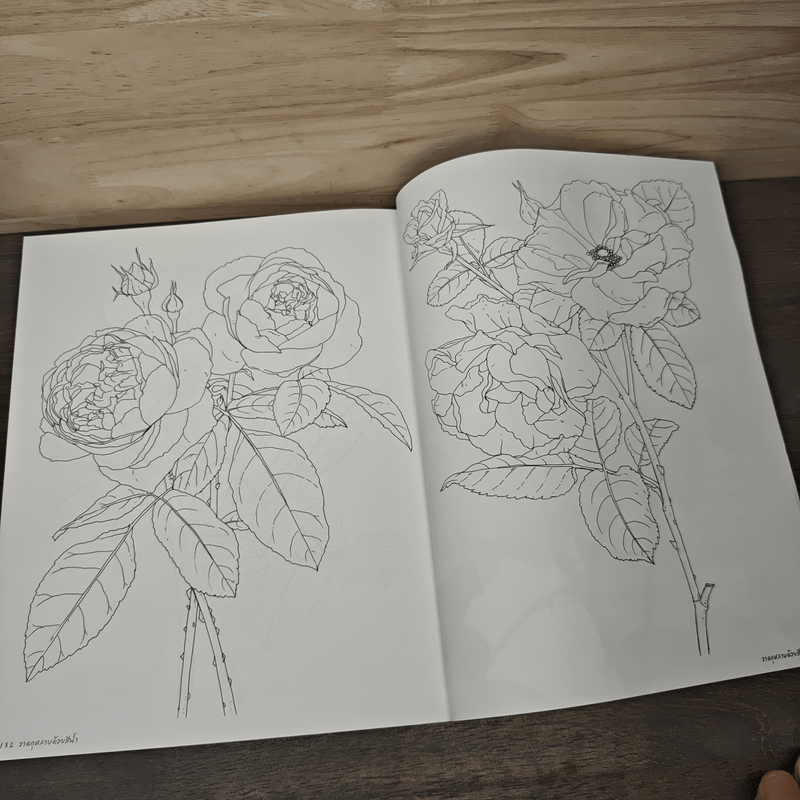 วาดกุหลาบด้วยสีน้ำ Shabha Shine's Sketchbook - ชบาฉายสตูดิโอ