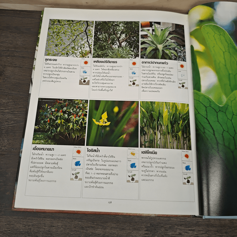 สวนในบ้าน เล่ม 23 สวนขนาดเล็ก 2