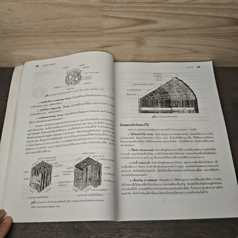 วัสดุวิศวกรรมก่อสร้าง - รศ.กวี หวังนิเวศน์กุล