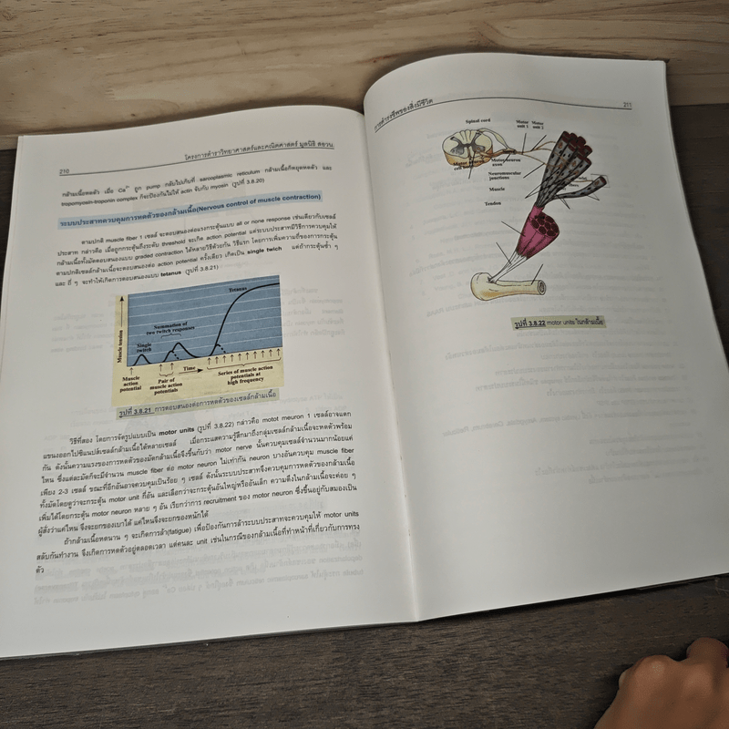 ชีววิทยา สัตววิทยา เล่ม 1