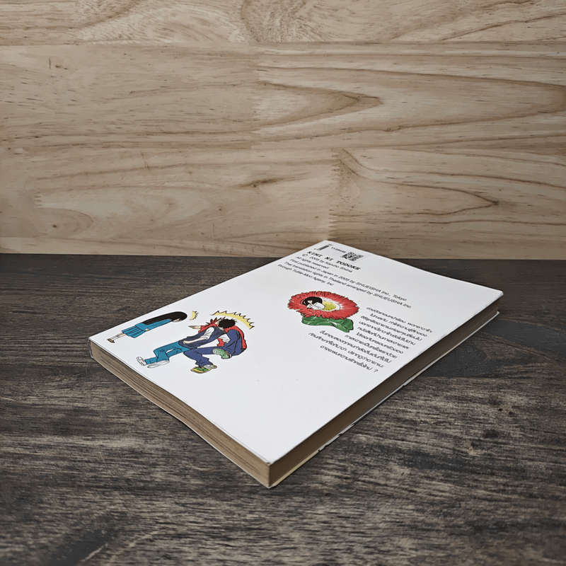 ฝากใจไปถึงเธอ เล่ม 13 - Karuho Shiina