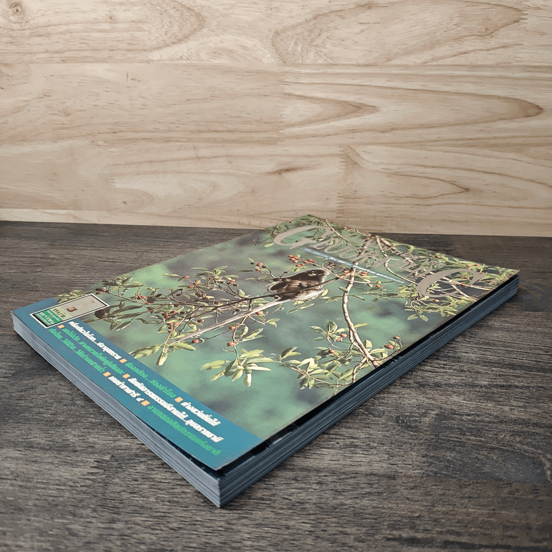 Advanced Thailand Geographic ปีที่ 8 ฉบับที่ 58 พ.ย.2545