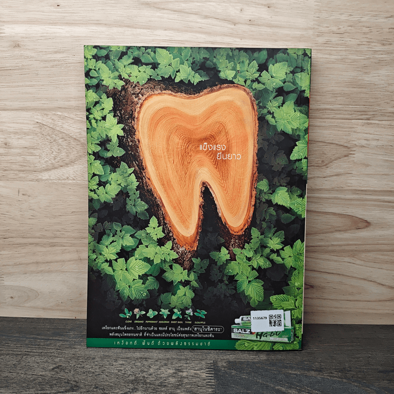 Advanced Thailand Geographic ปีที่ 8 ฉบับที่ 58 พ.ย.2545