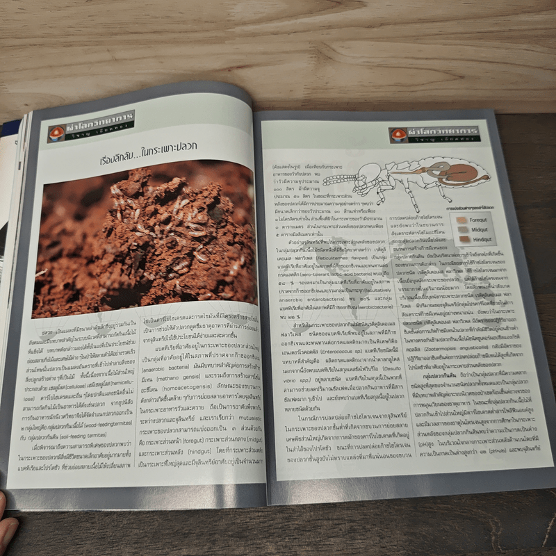 Advanced Thailand Geographic ปีที่ 8 ฉบับที่ 58 พ.ย.2545