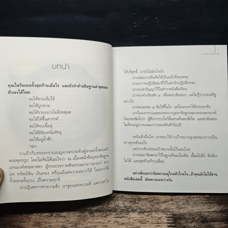 นิพพานระหว่างวัน - ว.วชิรเมธี