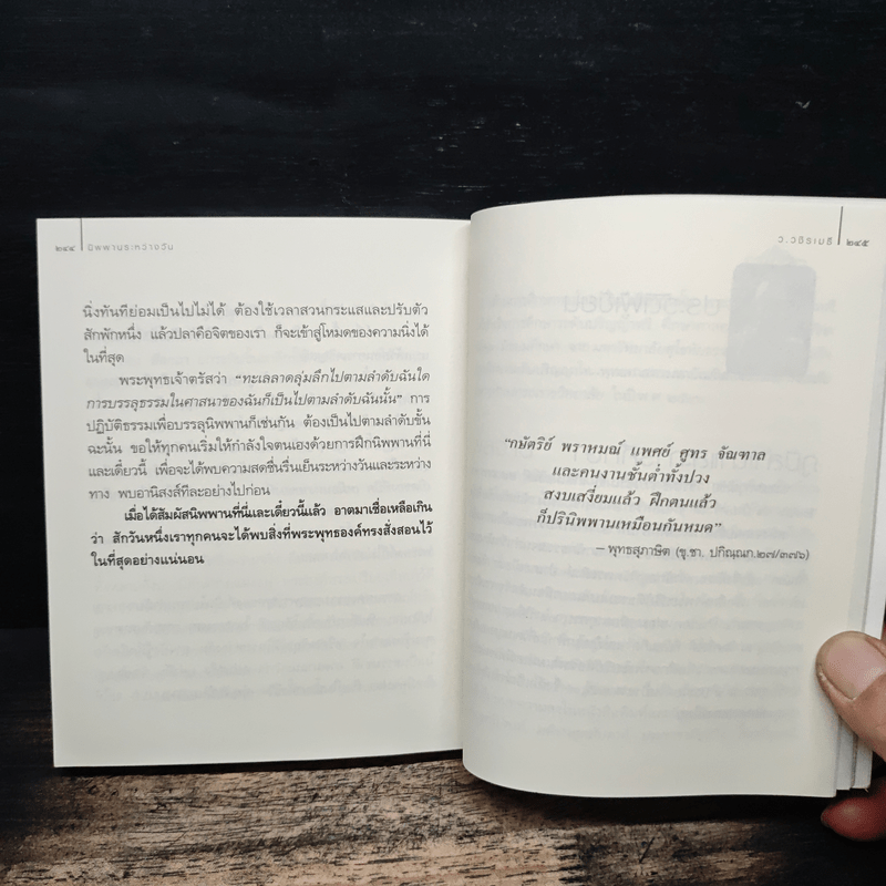 นิพพานระหว่างวัน - ว.วชิรเมธี