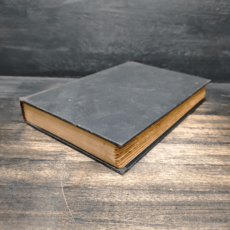 Killers in Africa - Alexander Lake