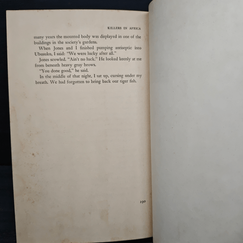 Killers in Africa - Alexander Lake