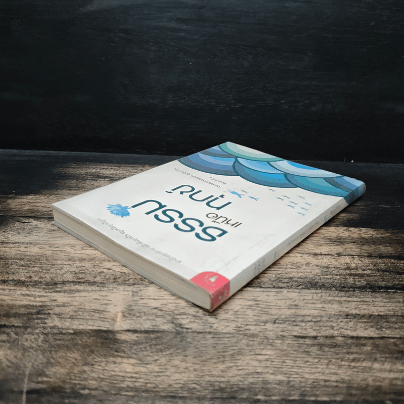 ธรรมเหนือทุกข์ - ดร. พระมหาจรรยา สุทธิญาโณ