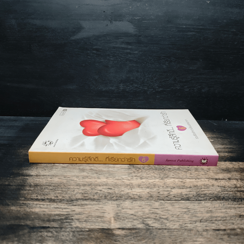 ความรู้สึกดี...ที่เรียกว่ารัก 6