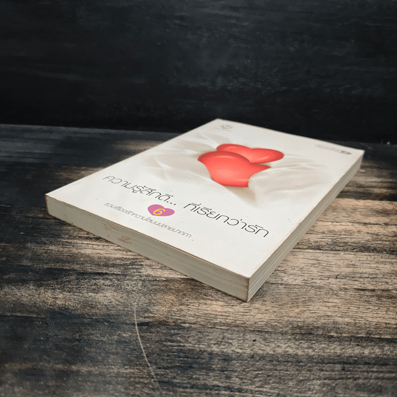 ความรู้สึกดี...ที่เรียกว่ารัก 6