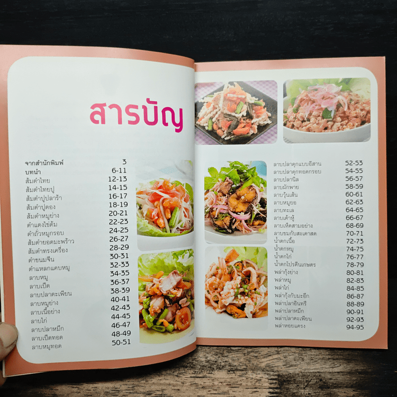 คู่มือทำกับข้าวไทย ส้มตำ ลาบ น้ำตก