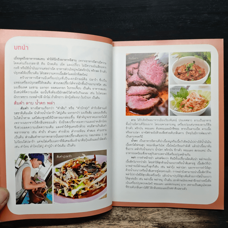 คู่มือทำกับข้าวไทย ส้มตำ ลาบ น้ำตก
