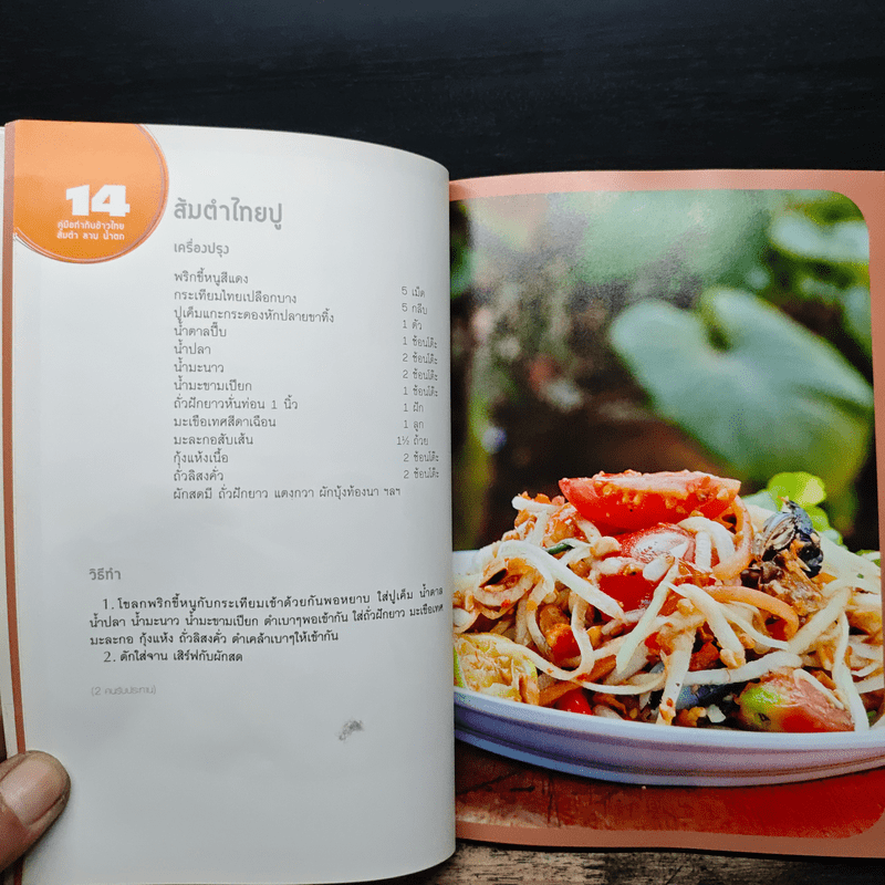 คู่มือทำกับข้าวไทย ส้มตำ ลาบ น้ำตก