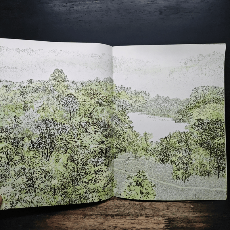 ในป่าใหญ่ - มิตษุมาสะ อันโนะ