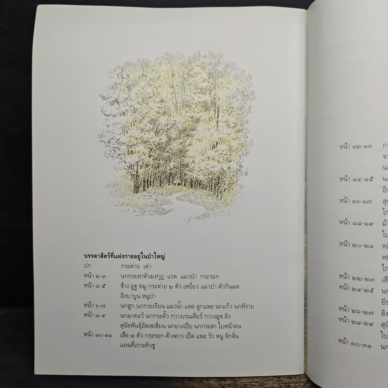 ในป่าใหญ่ - มิตษุมาสะ อันโนะ