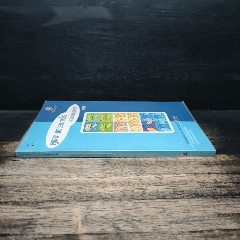 ดูแลตนเองอย่างไร ก่อนไปพบแพทย์ เล่ม 1