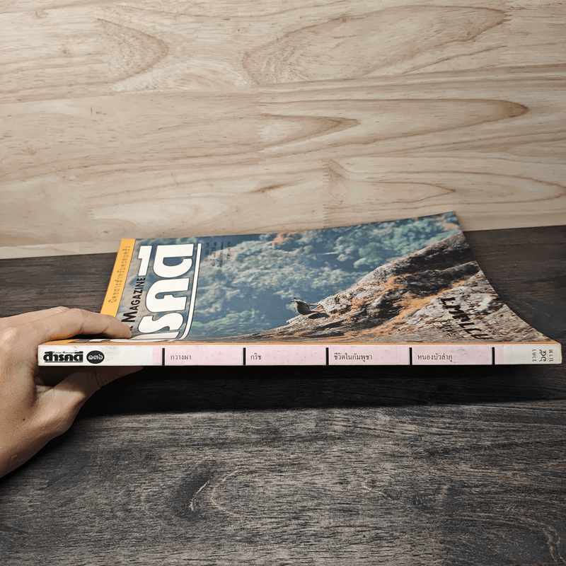 สารคดี ปีที่ 12 ฉบับที่ 136 มิ.ย.2539