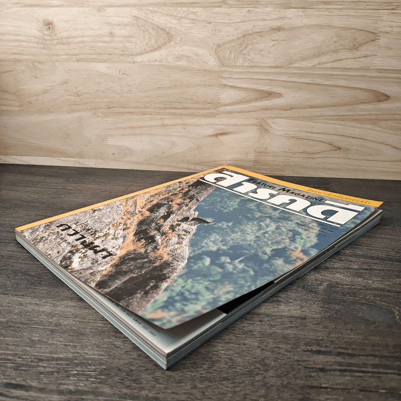 สารคดี ปีที่ 12 ฉบับที่ 136 มิ.ย.2539