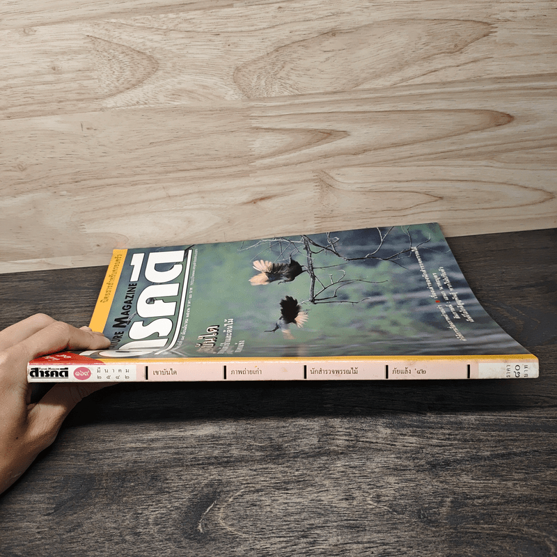 Feature Magazine สารคดี ฉบับที่ 169 ปีที่ 15 มี.ค.2542