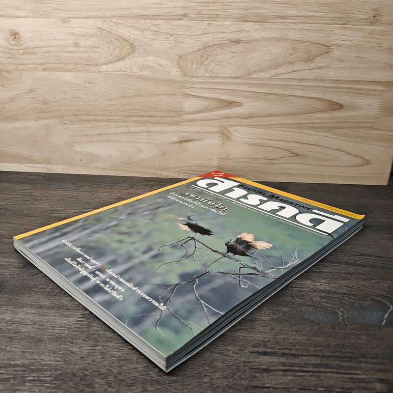 Feature Magazine สารคดี ฉบับที่ 169 ปีที่ 15 มี.ค.2542