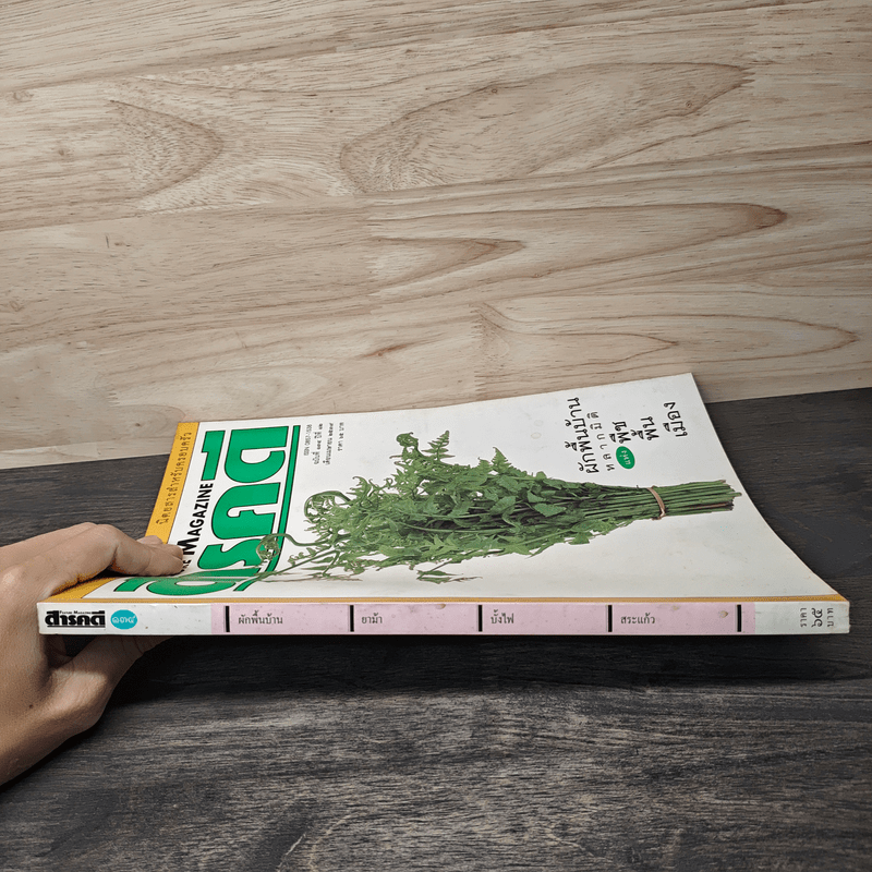 Feature Magazine สารคดี ฉบับที่ 134 ปีที่ 12 เม.ย.2538