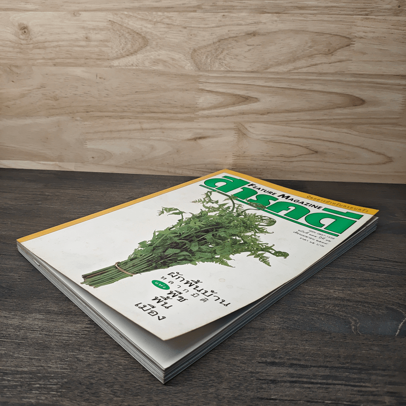 Feature Magazine สารคดี ฉบับที่ 134 ปีที่ 12 เม.ย.2538