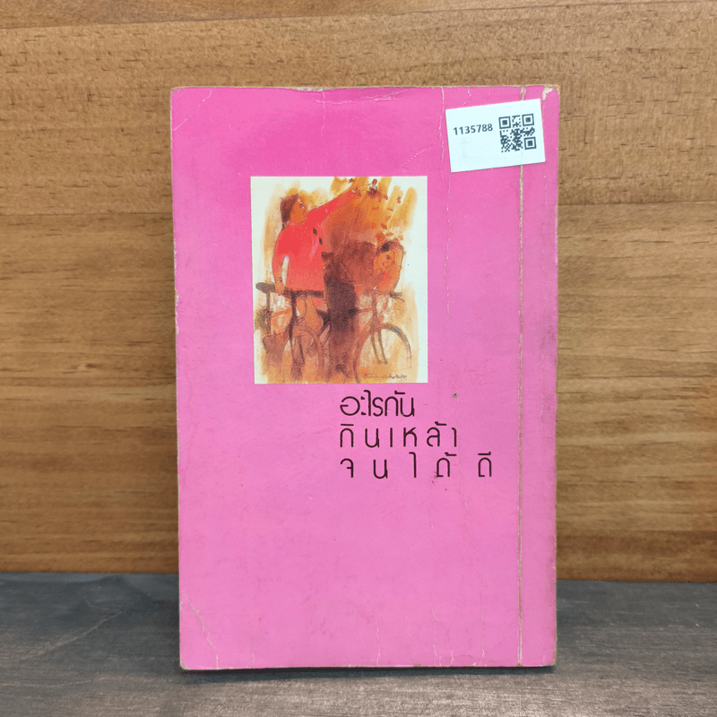 นิสิตสุราปี 4 - ไมตรี ลิมปิชาติ