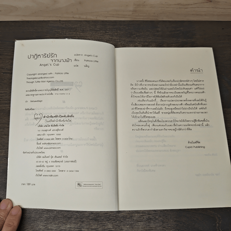 ปาฏิหาริย์รักจากนางฟ้า - Angel's cup