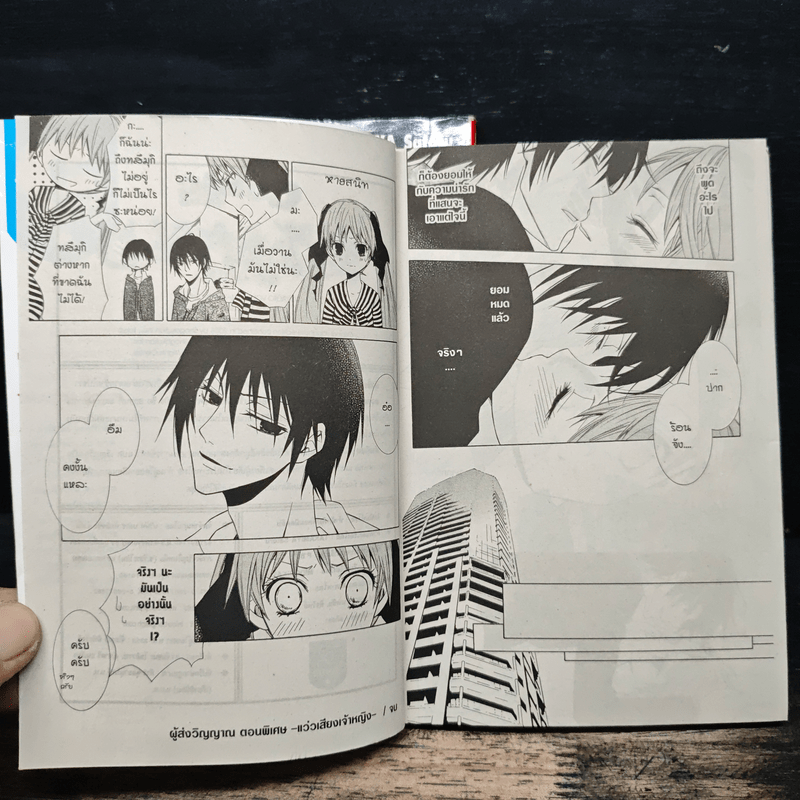 ผู้ส่งวิญญาณ 2 เล่มจบ