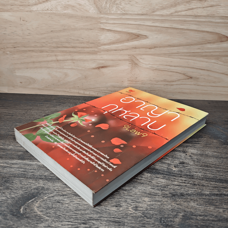 อาญากุหลาบ - 9Law9