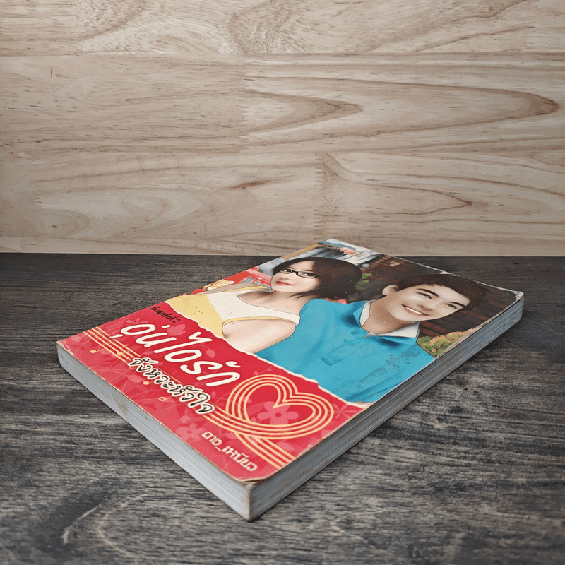 อุ่นไอรักจังหวะหัวใจ - ถางเหมียว