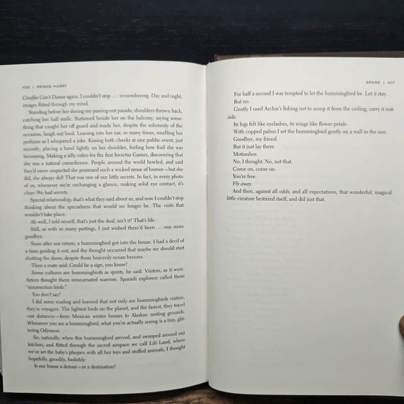 SPARE - Prince Harry