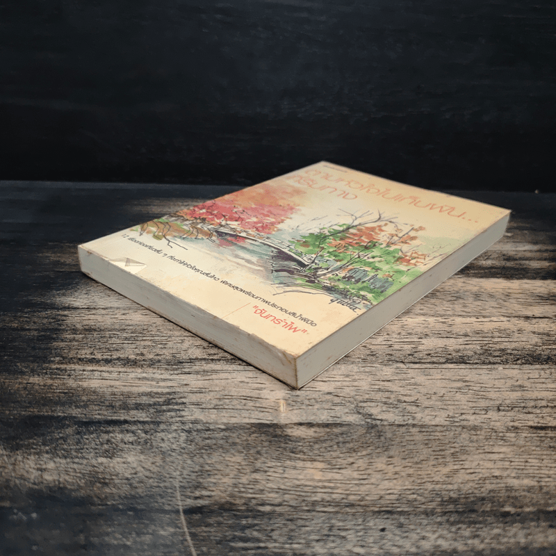 ตามหัวใจไปเก็บฝัน...ที่ริมทาง - จันทรำไพ