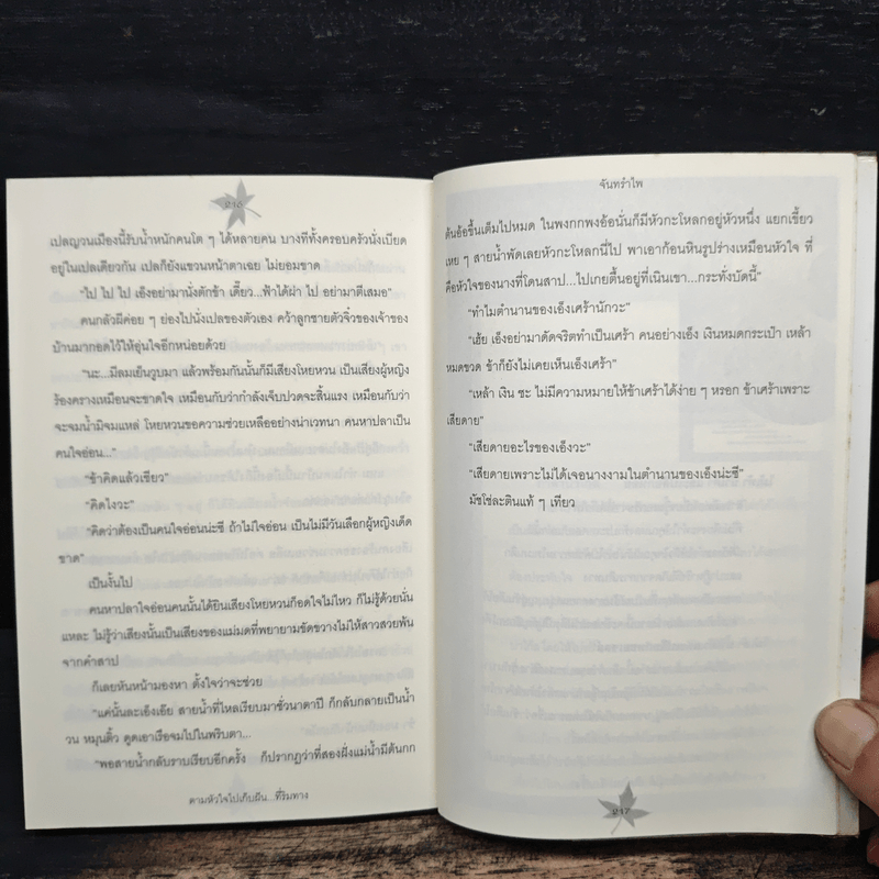 ตามหัวใจไปเก็บฝัน...ที่ริมทาง - จันทรำไพ