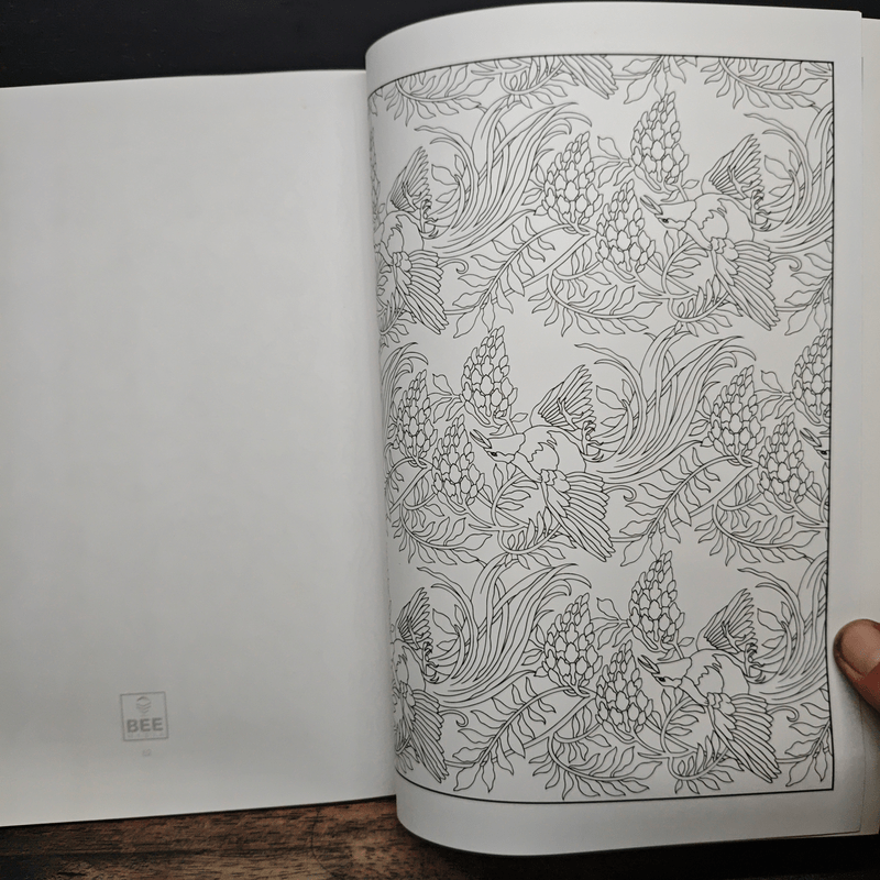 สวนสวรรค์ สีสันจินตนาการ - Marty Noble