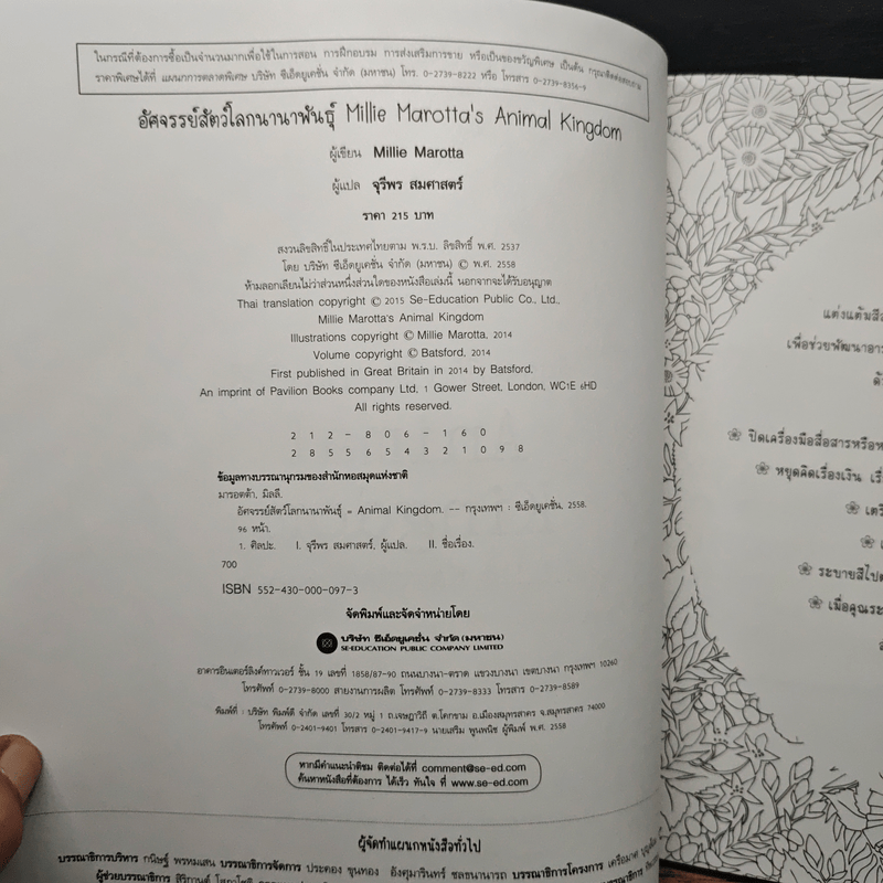 Animal Kingdom แต่งลวดลาย แต้มสีสัน เติมจินตนาการชีวิตสัตว์โลก - Millie Marotta