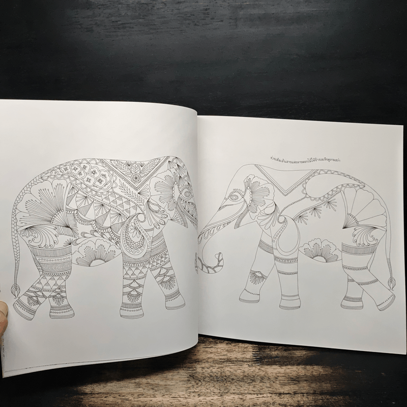 Animal Kingdom แต่งลวดลาย แต้มสีสัน เติมจินตนาการชีวิตสัตว์โลก - Millie Marotta