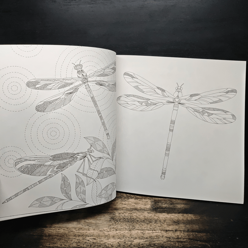 Animal Kingdom แต่งลวดลาย แต้มสีสัน เติมจินตนาการชีวิตสัตว์โลก - Millie Marotta