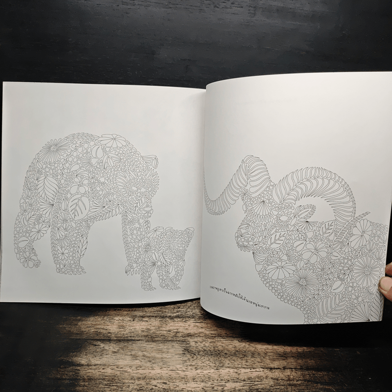 Animal Kingdom แต่งลวดลาย แต้มสีสัน เติมจินตนาการชีวิตสัตว์โลก - Millie Marotta