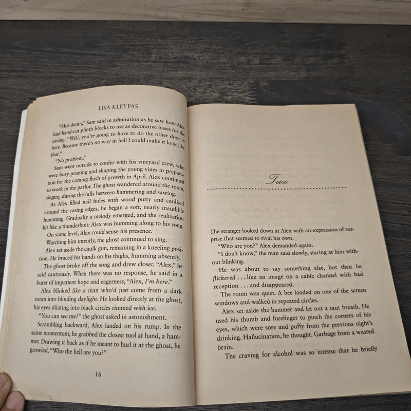 Dream Lake: A Friday Harbor Novel - Lisa Kleypas