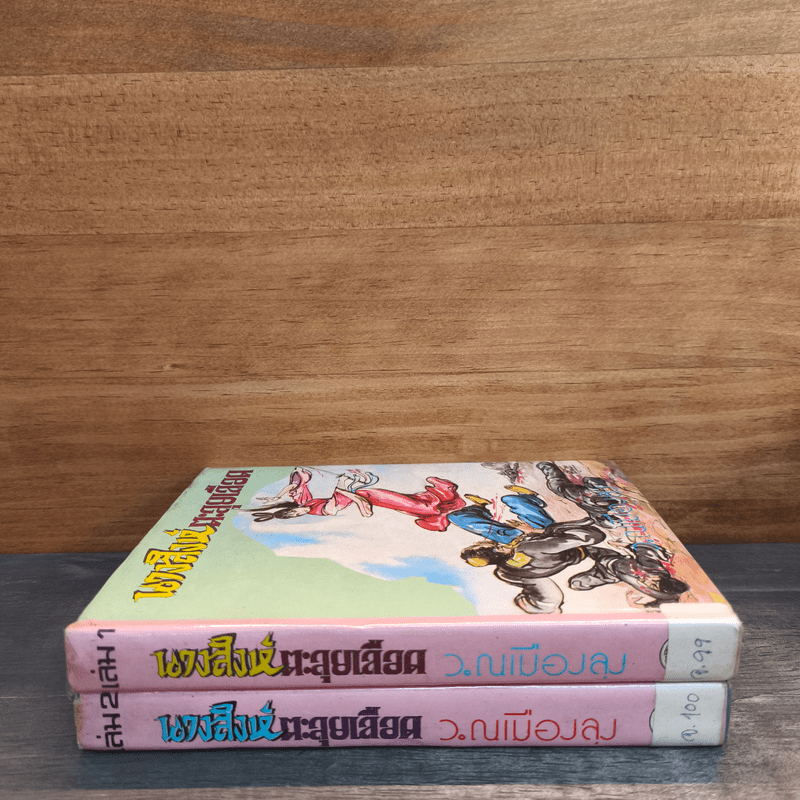 นางสิงห์ตะลุยเลือด 2 เล่มจบ - โป้วอั้งเสาะ, ว.ณ เมืองลุง