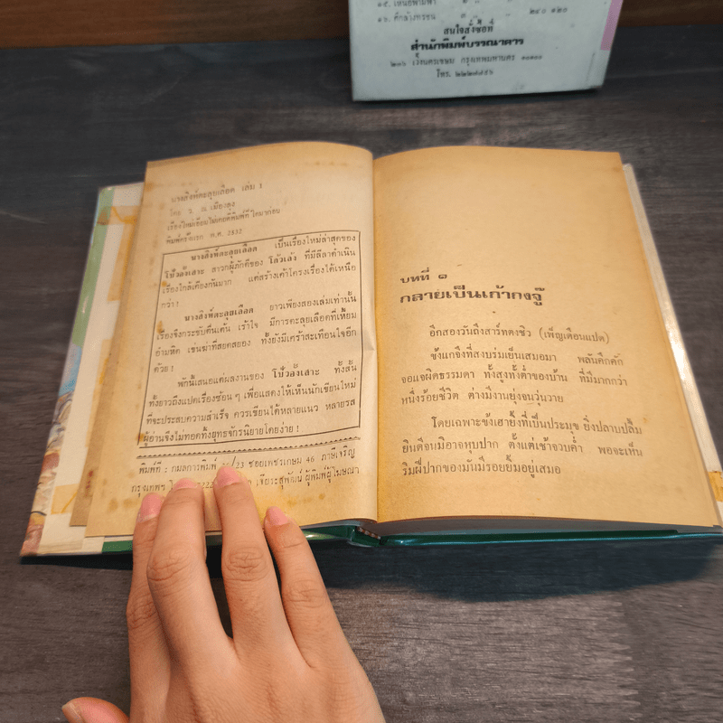 นางสิงห์ตะลุยเลือด 2 เล่มจบ - โป้วอั้งเสาะ, ว.ณ เมืองลุง