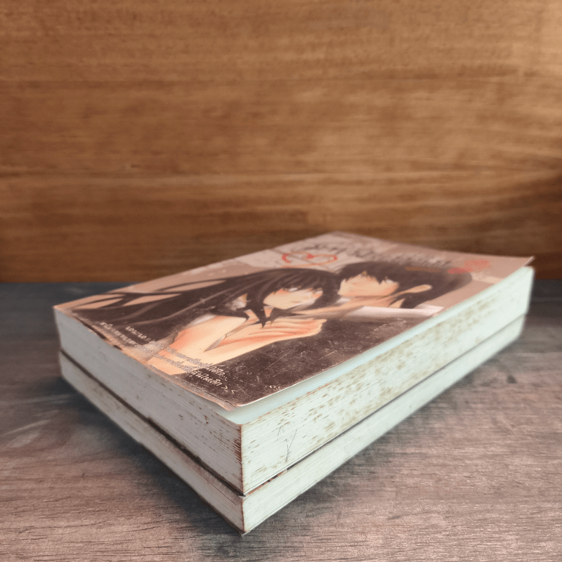 มาเฟียที่รัก 2 เล่มจบ - นู๋ผักบุ้ง