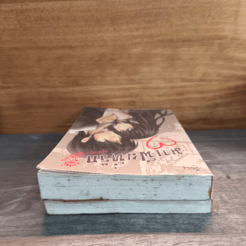 มาเฟียที่รัก 2 เล่มจบ - นู๋ผักบุ้ง