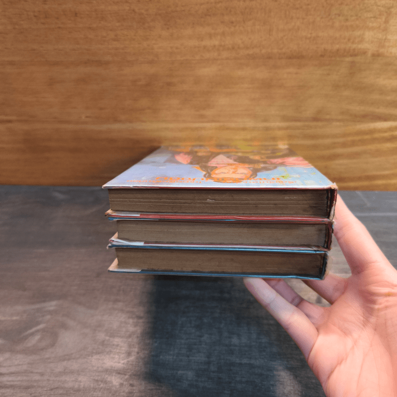 เทพกระบี่ปัจฉิม 3 เล่มจบ - ว.ณเมืองลุง